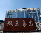 双王集团新版专题片拍摄